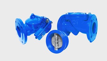 Check Valves