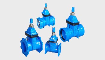 Gate Valves - Resilient Seat